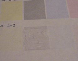 P1020965-1.JPG