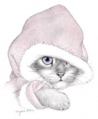 Kitten in bunting.jpg