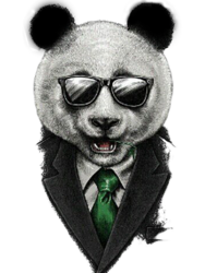 панда.png