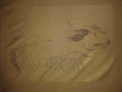 20160713_152903.jpg