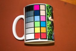 IMG_8276.jpg
