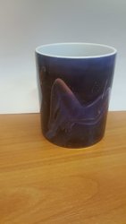 20180215_215112.jpg
