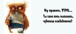 IMG-4a29c9b54ff4a5ff9c211730ca622127-V.jpg