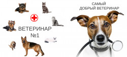 Ветеринар.jpg