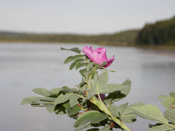 DSCN1367.JPG