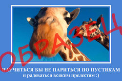 мотиваторы1.jpg