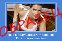 мотиваторы3.jpg