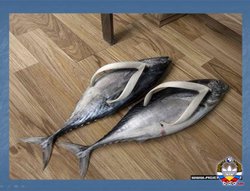 1403724067_tapki.jpg