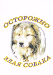 Табличка Злая собака.jpg